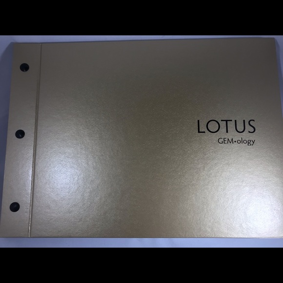 Mogok Burma Ruby by Kat Florence with appraisal - Picture 5 of 9